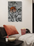 Silent Silhouette – Tree Against a Burning Sunset Canvas Art