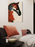 Bold Botanicals & Expressive Abstractions