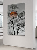 Silent Silhouette – Tree Against a Burning Sunset Canvas Art